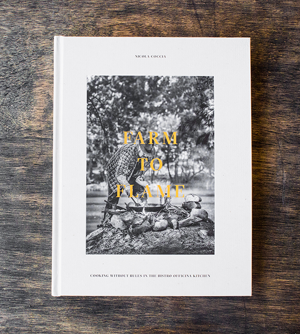 BOOK COVER FINAL Website